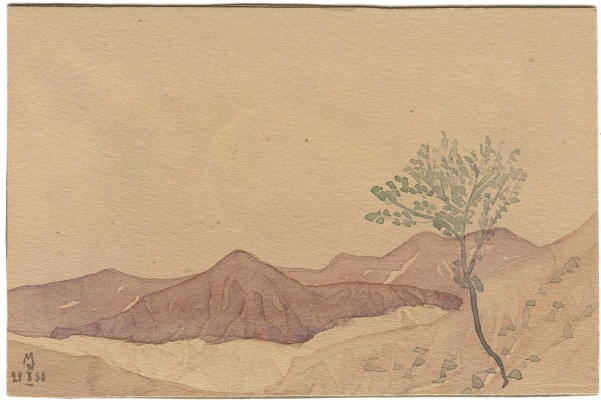 Волошин Максимилиан Александрович. Оливковое деревце среди осенних холмов